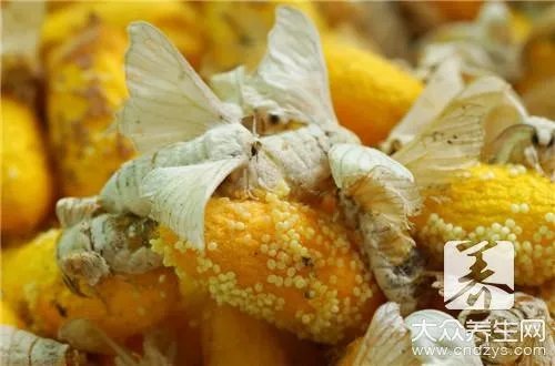 蚕蛹的营养价值,竟然这么多!