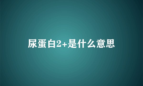 尿蛋白2+是什么意思
