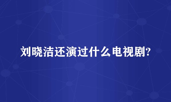 刘晓洁还演过什么电视剧?