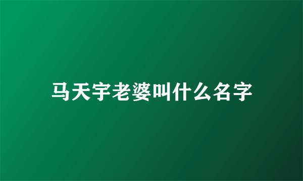 马天宇老婆叫什么名字