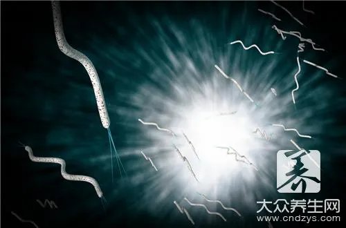 硝化细菌的作用