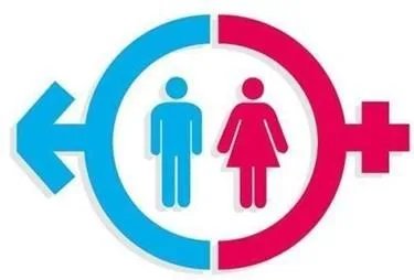 56种性别分别是什么