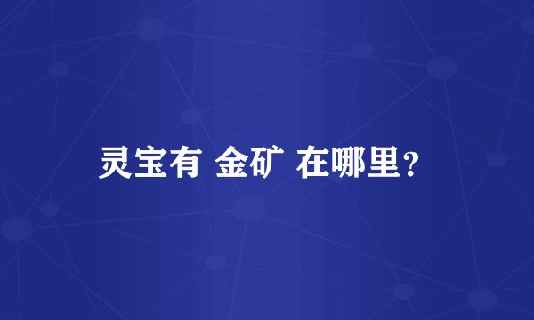 灵宝有 金矿 在哪里？