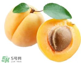 杏子几月成熟?杏子什么时候成熟?