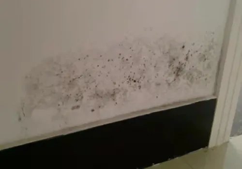 拒绝“回南天”的潮湿，克洛斯威为你支招！