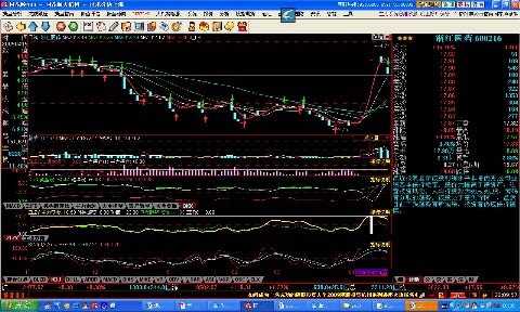 宁波涨停板敢死队是怎么回事情