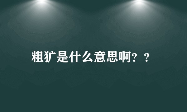 粗犷是什么意思啊？？