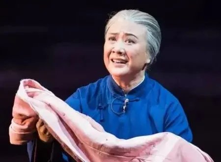 袁慧琴什么问题