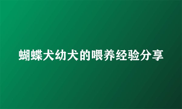 蝴蝶犬幼犬的喂养经验分享