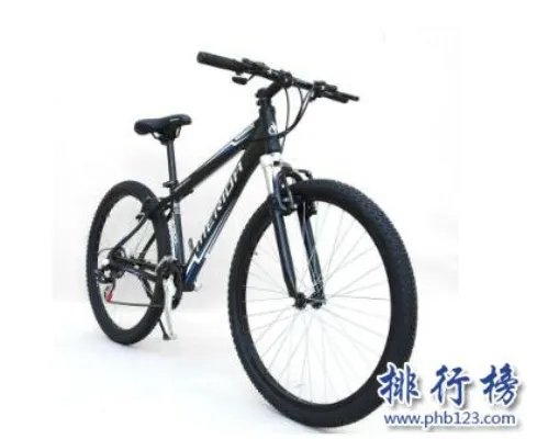 山地自行车十大品牌排行榜:凤凰、永安上榜 第4美国品牌