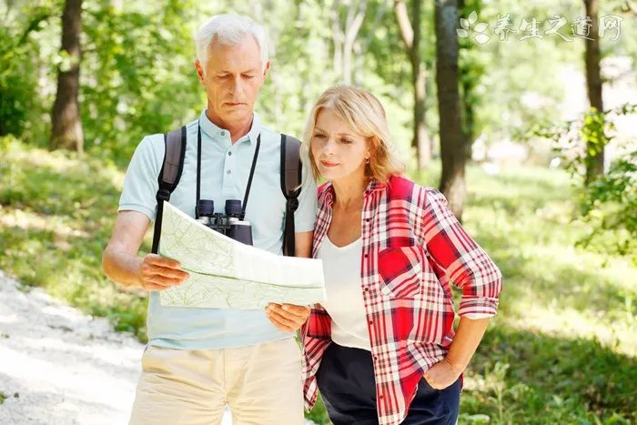 农村养老保险领取计算