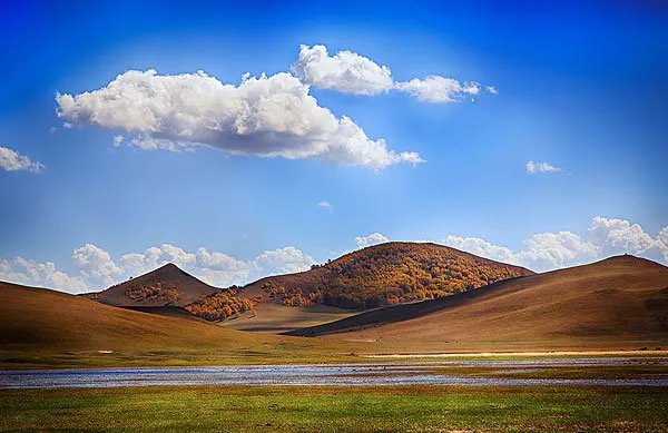 癞蛤蟆有毒吗会致命吗是真的吗吗