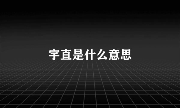 宇直是什么意思