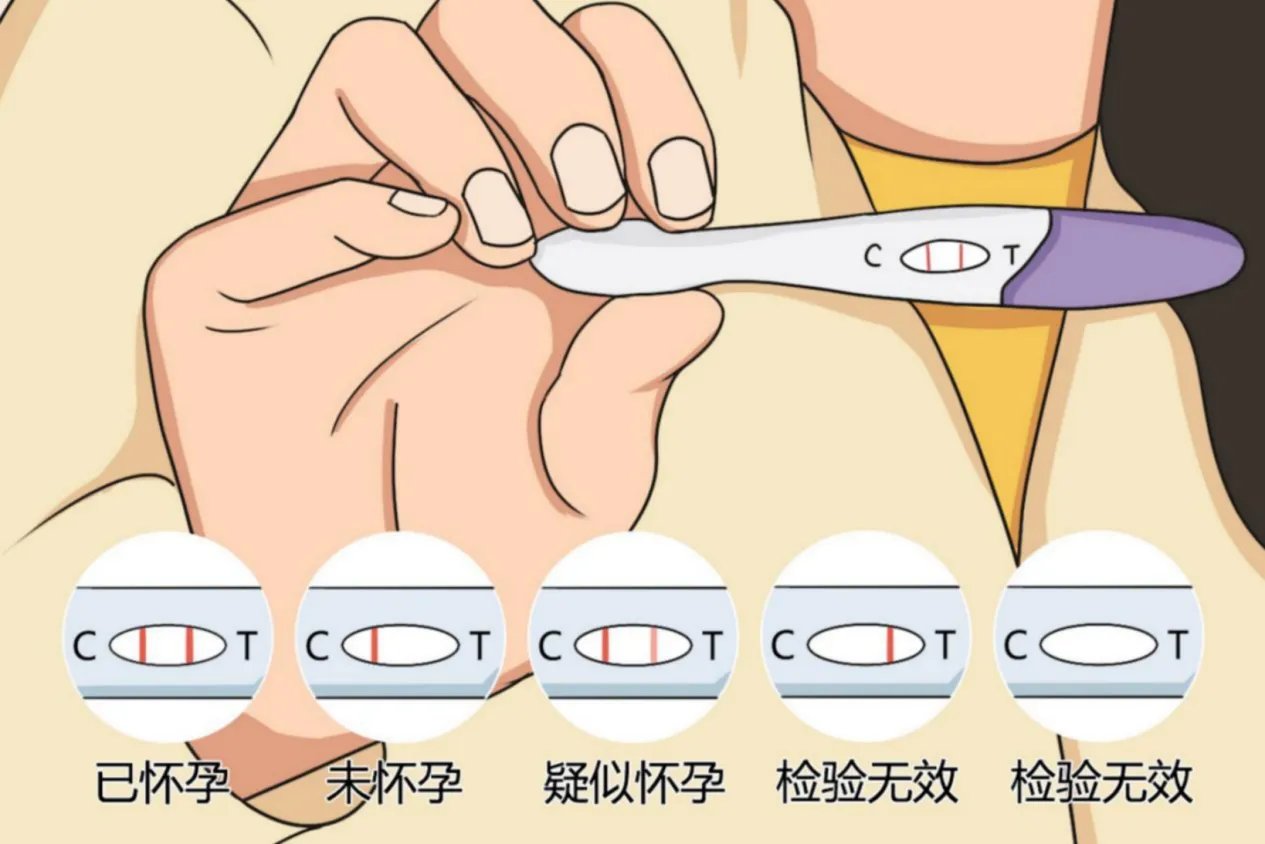 验孕试纸怎么看图解