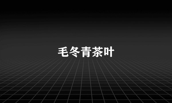 毛冬青茶叶