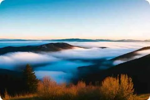 阜阳邮政编码是多少