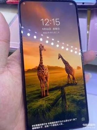 手机开机密码忘了怎么办小妙招(解决忘记手机锁屏密码的几种方法)