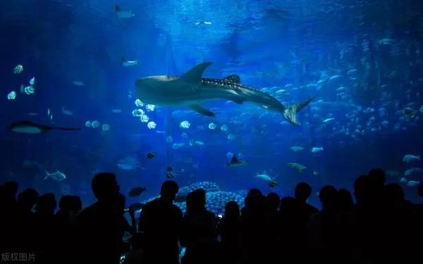 珠海有什么好玩的地方？哪些景点必去？