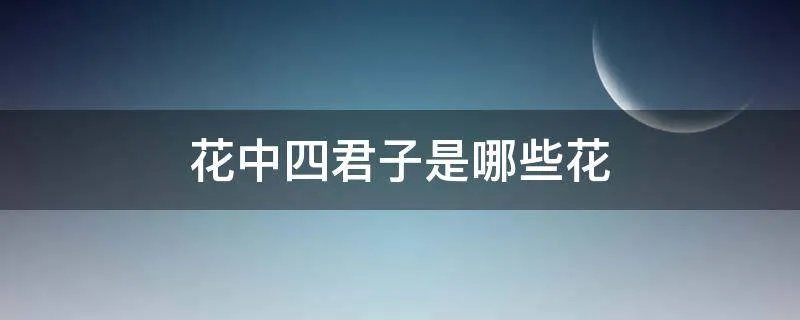花中四君子是哪些花