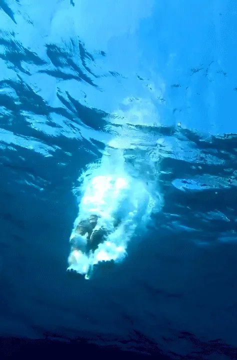 万国手表海洋系列