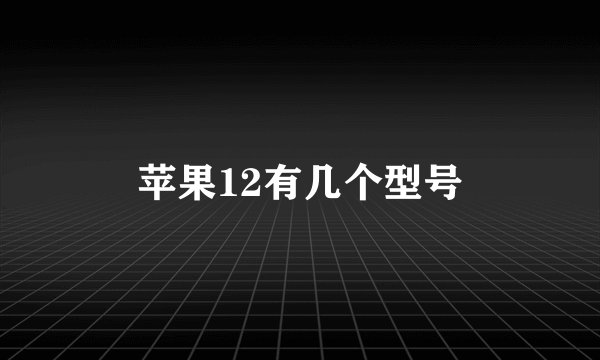 苹果12有几个型号