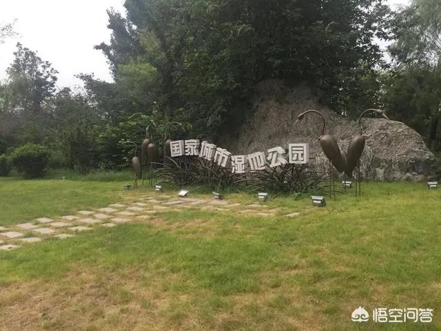 潍坊湿地公园在哪里？有多大？