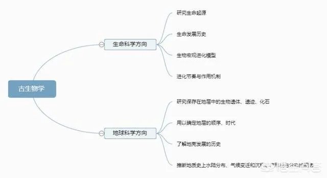 古生物学是怎样的专业？