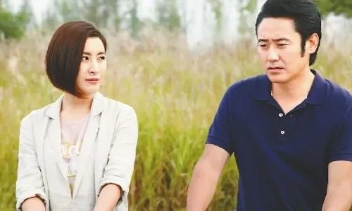 最经典的农村电视剧有哪些?