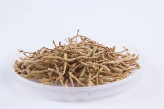 金银花泡水喝的功效有哪些