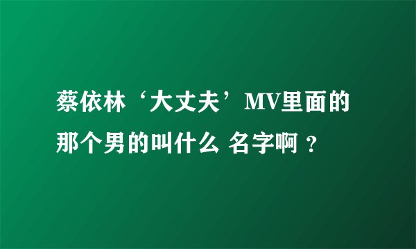 蔡依林‘大丈夫’MV里面的那个男的叫什么 名字啊 ？