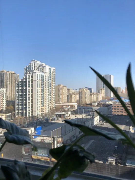 everything has changed since 加时间。为什么可以用非延续性动词？