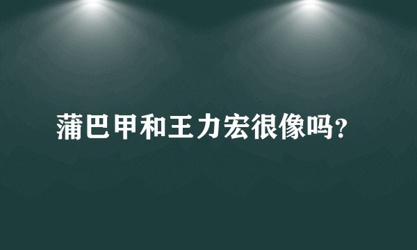 蒲巴甲和王力宏很像吗？