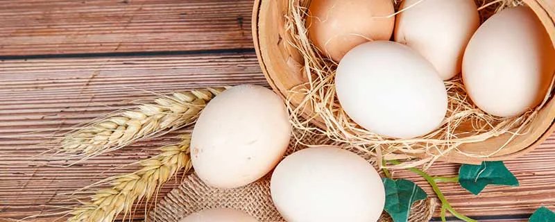 梦见鸡下蛋捡鸡蛋有什么预兆 梦见鸡下蛋捡鸡蛋什么意思