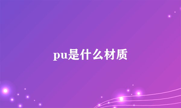 pu是什么材质