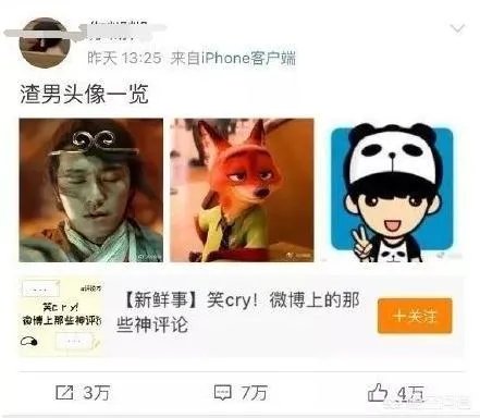 大家都用什么类型的微信头像?