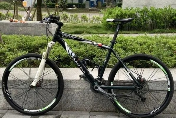 2020自行车品牌排行榜_十大自行车品牌大全