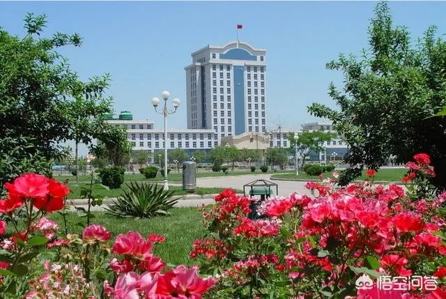 山东省德州市有几个县？