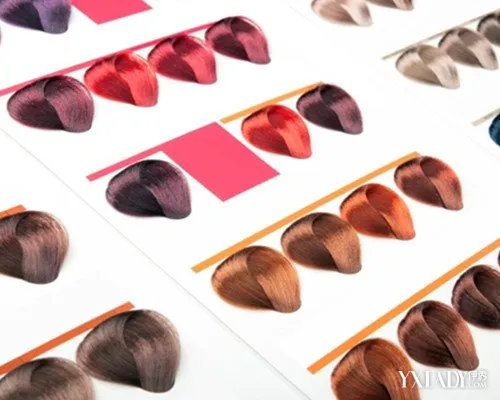 染发色板颜色及名称图大全教你如何弄清染发色板上的颜色