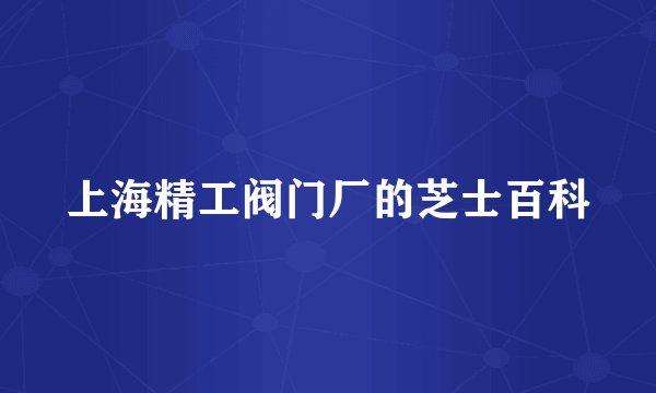 上海精工阀门厂的芝士百科
