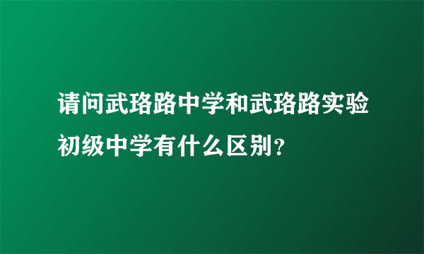 请问武珞路中学和武珞路实验初级中学有什么区别？