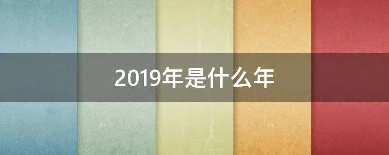 2019年是什么年