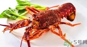 澳洲龙虾多少钱一斤?澳洲龙虾价格