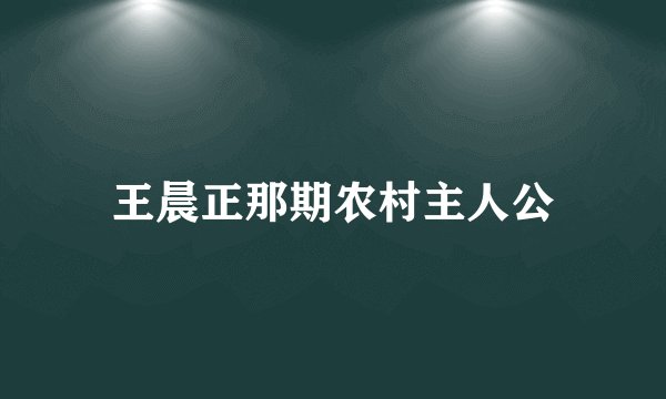 王晨正那期农村主人公