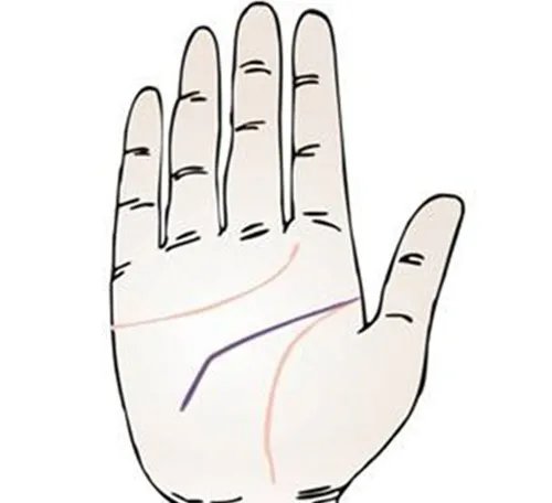 手相怎么看婚姻  美好的婚姻是什么样的