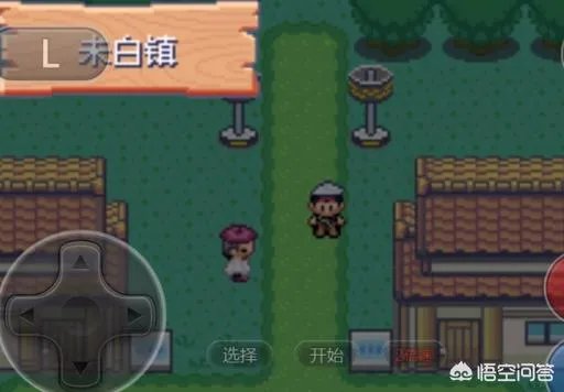 神奇宝贝绿宝石802攻略？