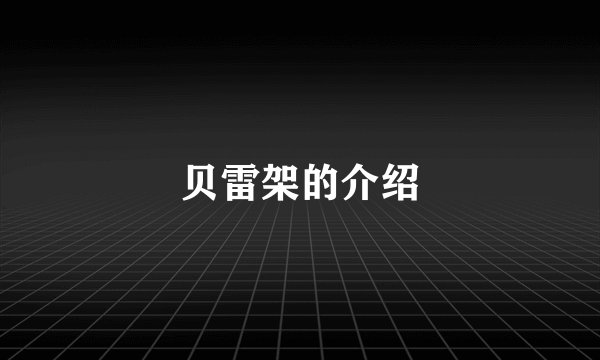 贝雷架的介绍