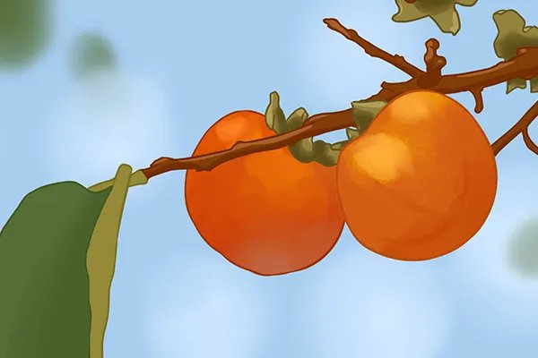 吃过柿子后不能吃什么食物