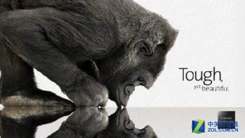 看完坚果Pro必知的20件事 我感觉这回老罗要成