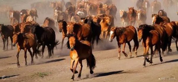 赤峰都有哪些景区值得去玩？