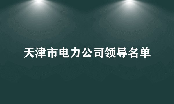 天津市电力公司领导名单